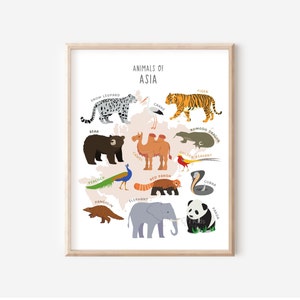 Tiere Asiens, pädagogisches Printable, Klassenzimmer Poster, Montessori Drucke, Spielzimmer Tiere Dekor, Animal Map Print, DIGITAL DOWNLOAD