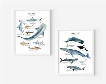 Whales and Sharks Prints, Ocean Sea Wall Art, Nautical Marine Animals Poster, Educational Prints, Sea Life Nursery Decor, DIGITAL DOWNLOAD