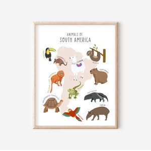 Tiere Südamerikas, Lernposter für das Klassenzimmer, Montessori-Drucke, Spielzimmer-Tiere-Dekor, Tierkarten-Druck, DIGITAL DOWNLOAD