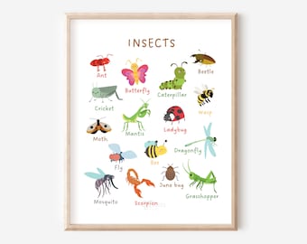 May include: A colorful educational chart featuring illustrations of various insects, including a butterfly, ladybug, bee, ant, cricket, and grasshopper. The chart is titled "INSECTS" and includes the name of each insect below its illustration.