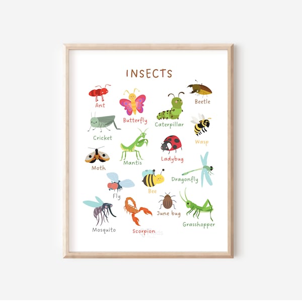 Insects Print, Kids Educational Poster, Classroom Poster, Home School Printable, Learning Poster, Montessori School Print, DIGITAL DOWNLOAD