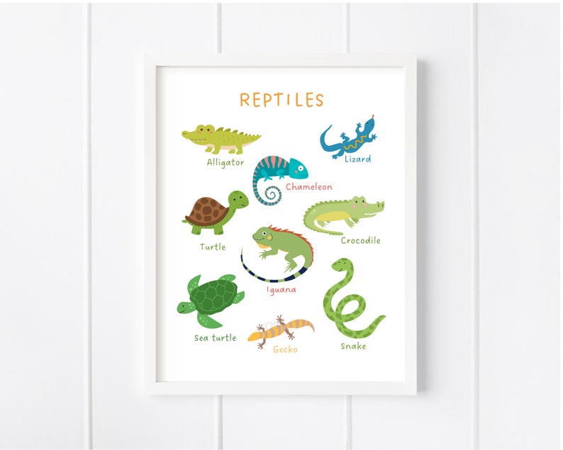 Reptiles Print Kids Educational Poster Classroom Poster Etsy