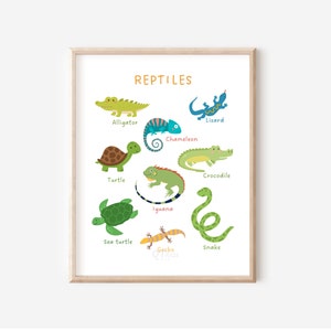 Impresión de reptiles, cartel educativo para niños, cartel de aula, escuela en casa imprimible, cartel de aprendizaje, imprimible Montessori, DESCARGA DIGITAL