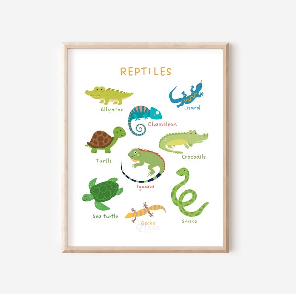 Impresión de reptiles, cartel educativo para niños, cartel de aula, escuela en casa imprimible, cartel de aprendizaje, imprimible Montessori, DESCARGA DIGITAL