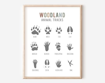 Woodland Nursery Prints, Animal Footprints Tracks, Kids Playroom Decor, Educational Print, Learning Poster, Woodland Decor, DIGITAL DOWNLOAD