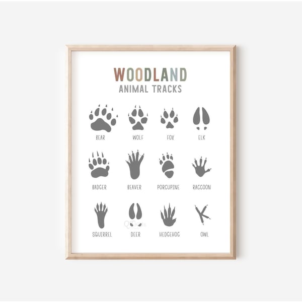 Woodland Nursery Prints, Animal Footprints Tracks, Kids Playroom Decor, Educational Print, Learning Poster, Woodland Decor, DIGITAL DOWNLOAD