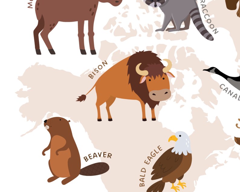 Animals of the World Prints Set of 7 Educational Printable - Etsy