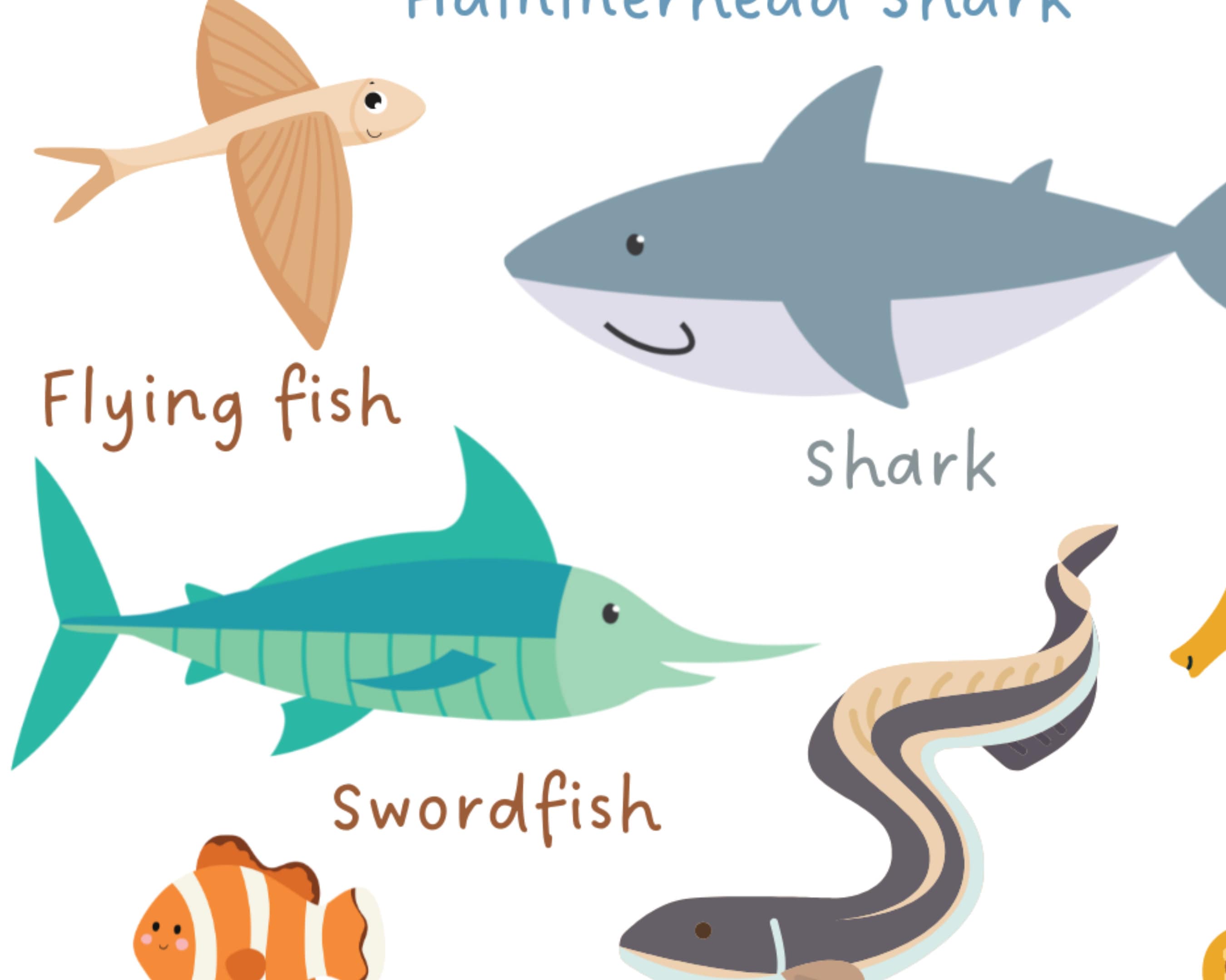 Fish Print Kids Educational Poster Classroom Poster Home - Etsy