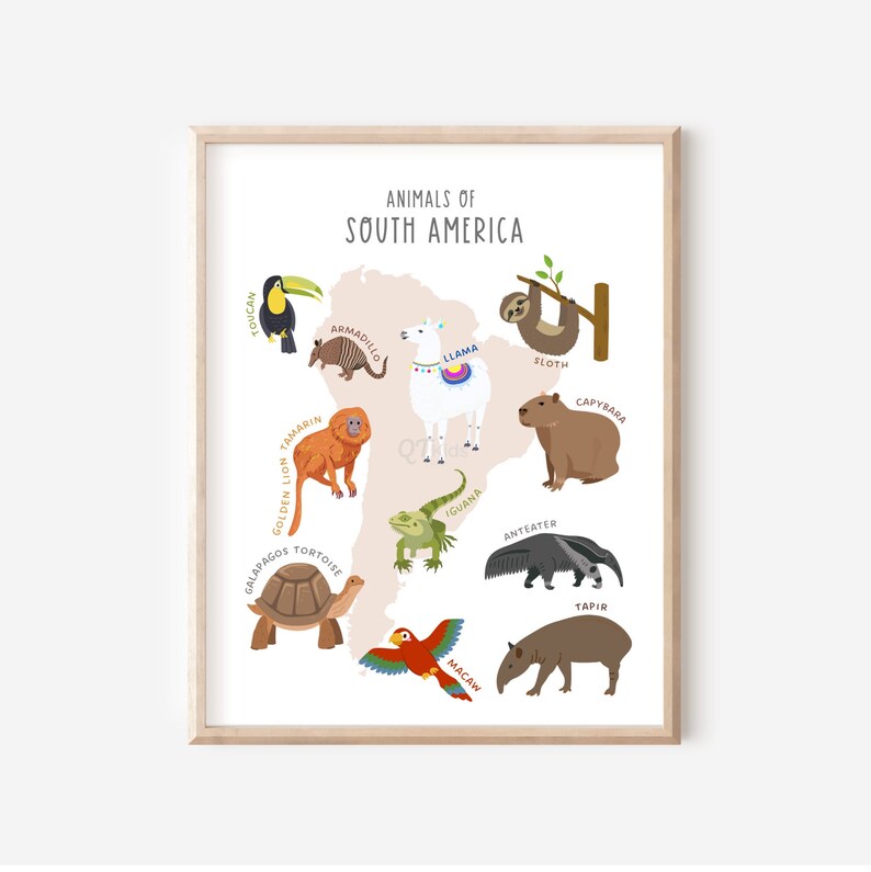 Animals of the World Prints Set of 7 Educational Printable - Etsy