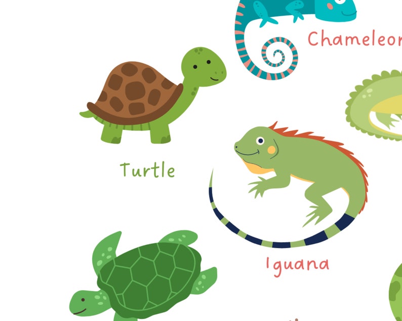 Reptiles Print Kids Educational Poster Classroom Poster Etsy