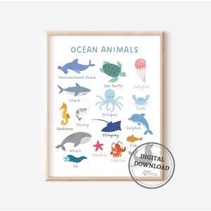Lernposter mit den Tieren des Ozeans, Klassenzimmer Poster, Druck Zuhause für die Schule, Kinder Lernposter, Montessori Schule, Kindergarten DIGITAL DOWNLOAD