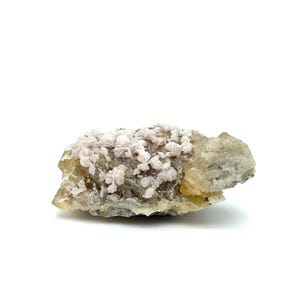 Puede incluir: Espécimen mineral natural con un grupo de formaciones de color rosa pálido en forma de flor sobre una base de roca amarilla y gris. El espécimen se encuentra sobre un fondo blanco, resaltando sus colores y texturas naturales.