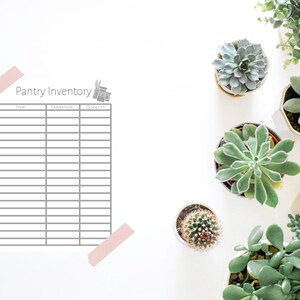 May include: A printable pantry inventory list with the title "Pantry Inventory" and columns for "Item", "Expiration", and "Quantity". The list is surrounded by pink washi tape and is on a white background with several potted succulents.