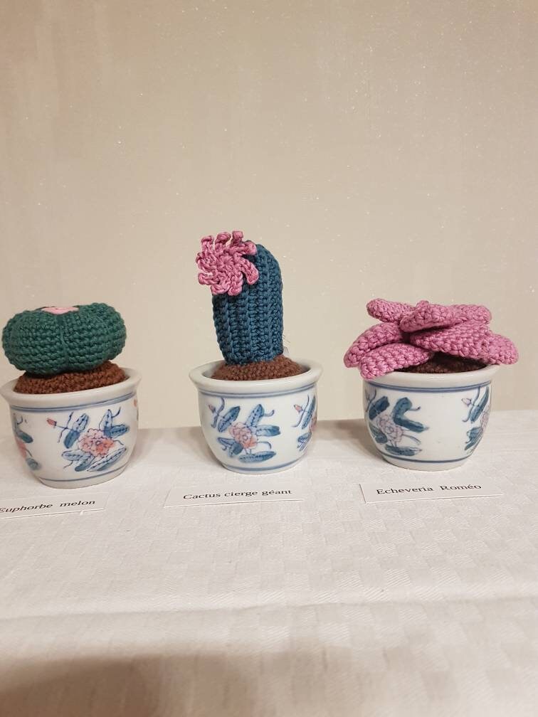 Cactus Au Crochet