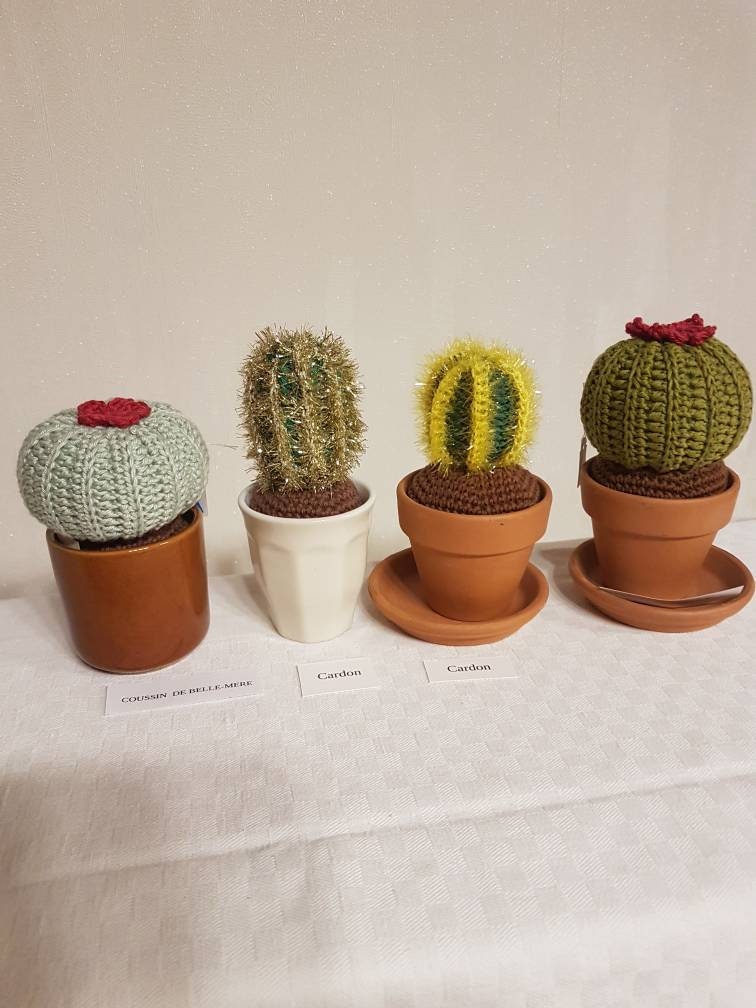 Petites Plantes Décoratives Au Crochet