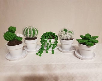 plantes en coton