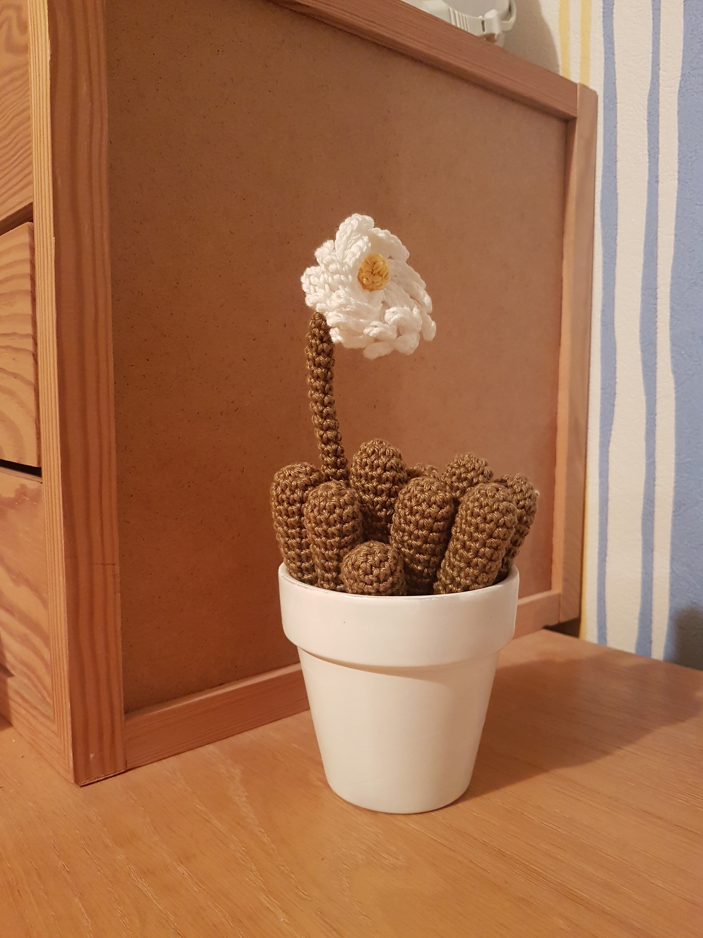 Plante Au Crochet