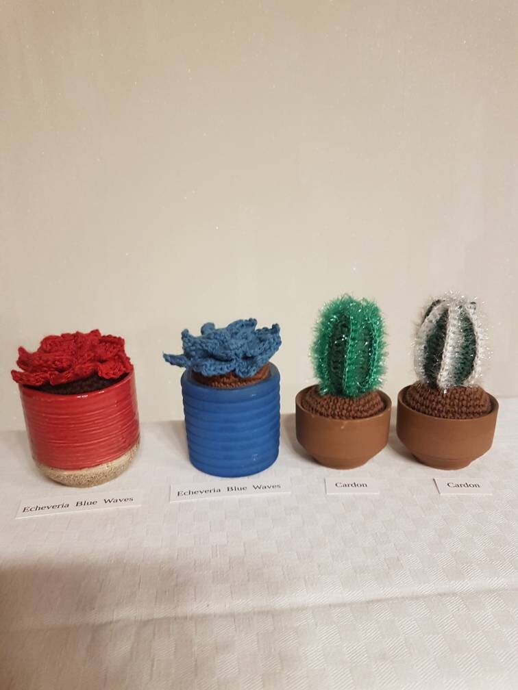 Plantes Décoratives Au Crochet