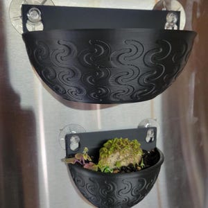 Könnte beinhalten: Zwei schwarze, halbkreisförmige Pflanzgefäße mit einem Wirbelmuster, die mit Saugnäpfen auf einer metallischen Oberfläche befestigt sind. Das untere Pflanzgefäß enthält eine kleine Pflanze mit grünem Moos und lila Blättern. Das obere Pflanzgefäß ist leer.