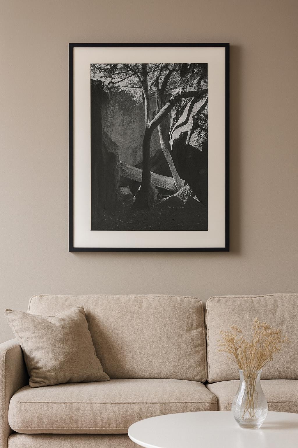 Black and White Fine Art Photograph — Tree Among Boulders | Nature ...
