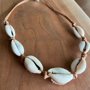 Shell Necklace Choker