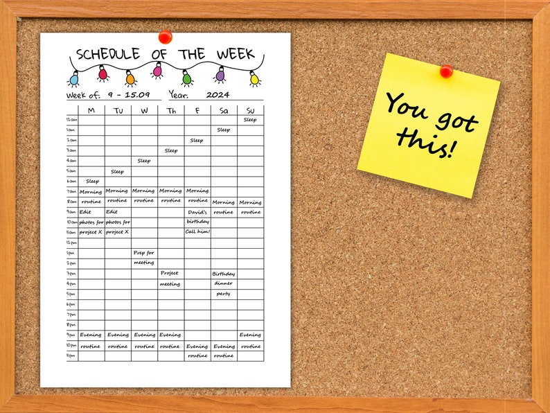 Handwritten Schedule Example Hourly Weekly Schedule Printable A4, Undated 24 Hour Template, Visual ...