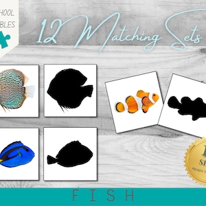 Fish Shadow Matching Preschool Activity | 12 Sets | 24 Karten | Hochauflösende Fotos | A4 PDF Printable