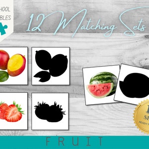 Activité préscolaire d'association d'ombres de fruits | 12 ensembles | 24 cartes | Photos haute résolution | PDF A4 imprimable