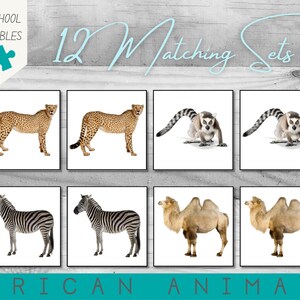 African Animal Matching Cards | 12 Sets | PDF Printable