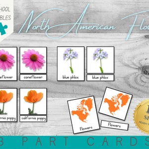 Kwiaty Ameryki Północnej | Montessori Continents Preschool Activity | 12 zestawów | Karty dopasowujące | Karty 3-częściowe | PDF do wydrukowania