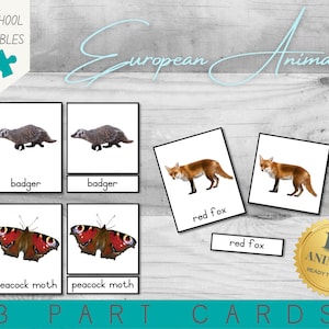 European Animals | Montessori Continents | 12 Sets | 3 Part Cards | PDF Printable