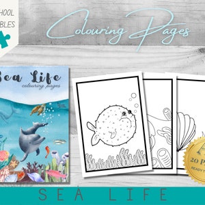 Sea Life Colouring Pages | Preschool Activity | Home & School | Ocean Animals Nature Activity | PDF