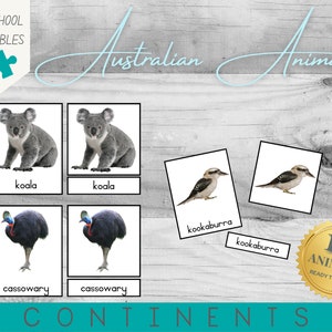 Australian Animals | Montessori Continents | 12 Animals | 3 Part Cards | PDF Printable
