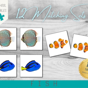 Puede incluir: Doce juegos de correspondencia imprimibles con diferentes tipos de peces. Los peces están ilustrados en un estilo de dibujos animados e incluyen un pez cirujano azul, un pez payaso y un pez disco.