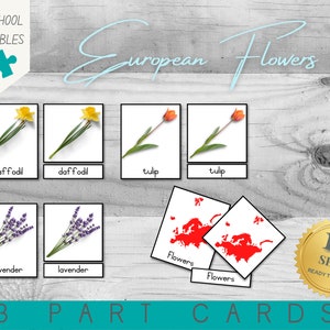 Kwiaty europejskie | Montessori Continents Preschool Activity | 12 zestawów | Karty dopasowujące | Karty 3-częściowe | PDF do wydrukowania
