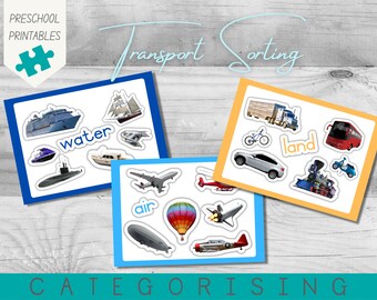 Transport Categorising and Sorting Activity | Air Land & Water |  Matching Toddler Activity | PDF