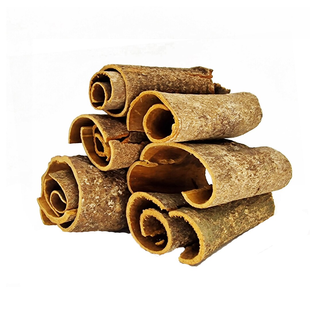 Aquarium Blackwater Aquascaping Betta Shrimp Biotope Bioactive Decor ...