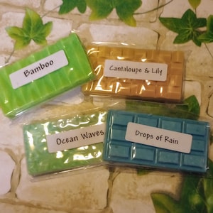 May include: Four wax melts in individual clear packaging. The wax melts are in the scents: Bamboo, Cantaloupe & Lily, Ocean Waves, and Drops of Rain.
