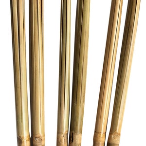 Può includere: Una collezione di sette pali di bambù, ciascuno con un colore marrone chiaro naturale. I pali sono cilindrici, con scanalature verticali tagliate alle estremità superiori. Il bambù ha un aspetto liscio e lucido, su sfondo bianco.