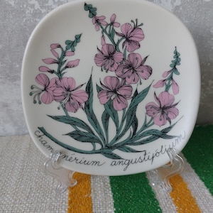 Puede incluir: Un plato de cerámica blanco con un diseño floral rosa y verde. El plato presenta un dibujo de una flor con el texto "Chamerium angustifolium".