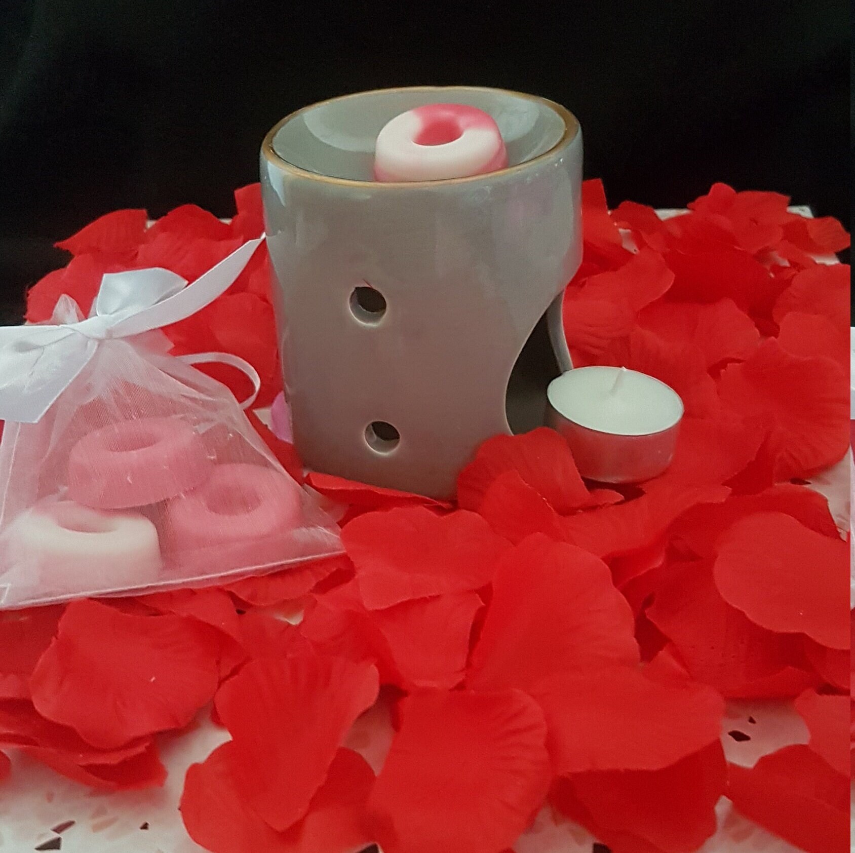 Bruleur en Ceramique