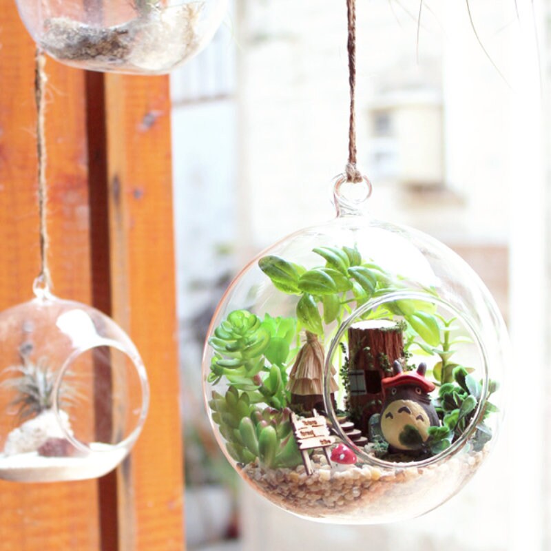 DIY Totoro Glass Ball Terrarium Glass Container Japanese Etsy
