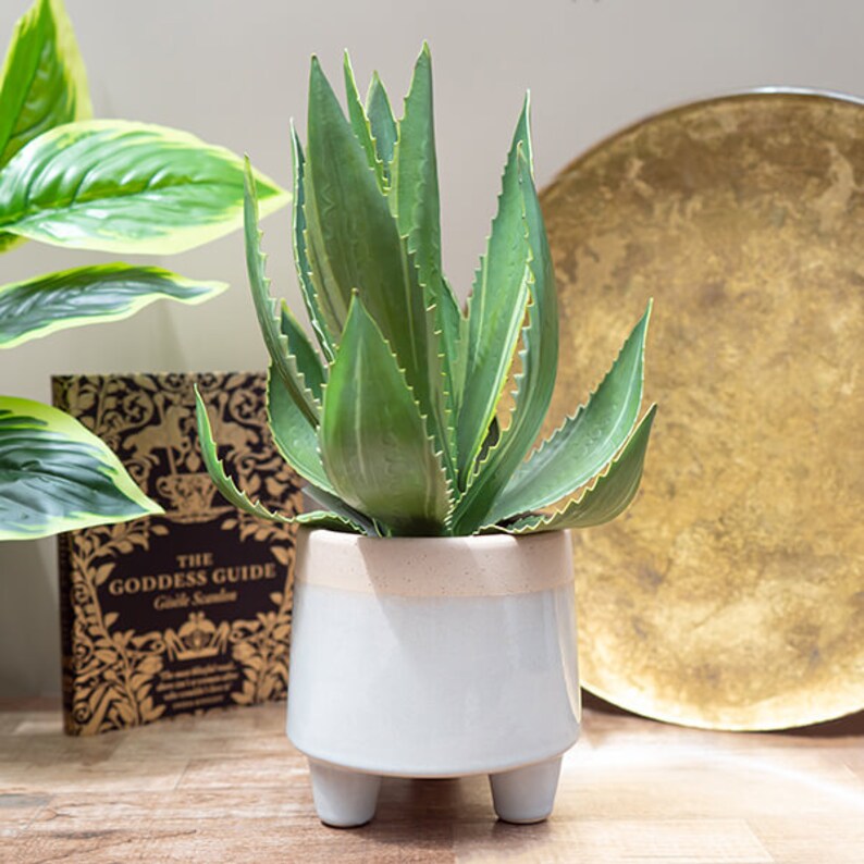 Artificial Aloe Plant