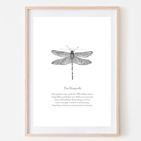 Dragonfly symbolism meaning quote print wall art minimal illustration instant download printable home decor spirit animal