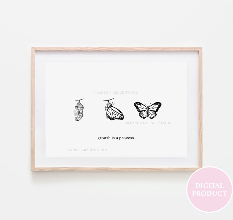 butterfly illustration, growth transforming from chrysalis