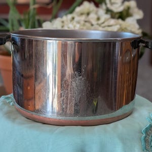 May include: A stainless steel cooking pot with black handles. The pot has a copper-colored base and is sitting on a light blue cloth. The background includes plants and a terracotta pot.