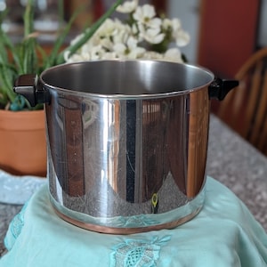May include: A stainless steel cooking pot with black handles and a copper-colored base. The pot sits on a light blue cloth. A potted plant and flowers are in the background.