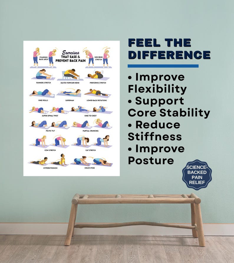 Back Pain Relief Exercises For Seniors, Senior Workout Routines, Lower Back Exercises, Lower Back Pain Workout Program image 3