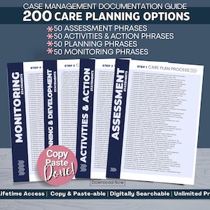 Case Manager Interventions, Planning, Actions and Monitoring Guide: Care Planning Cheat Sheet (PDF)