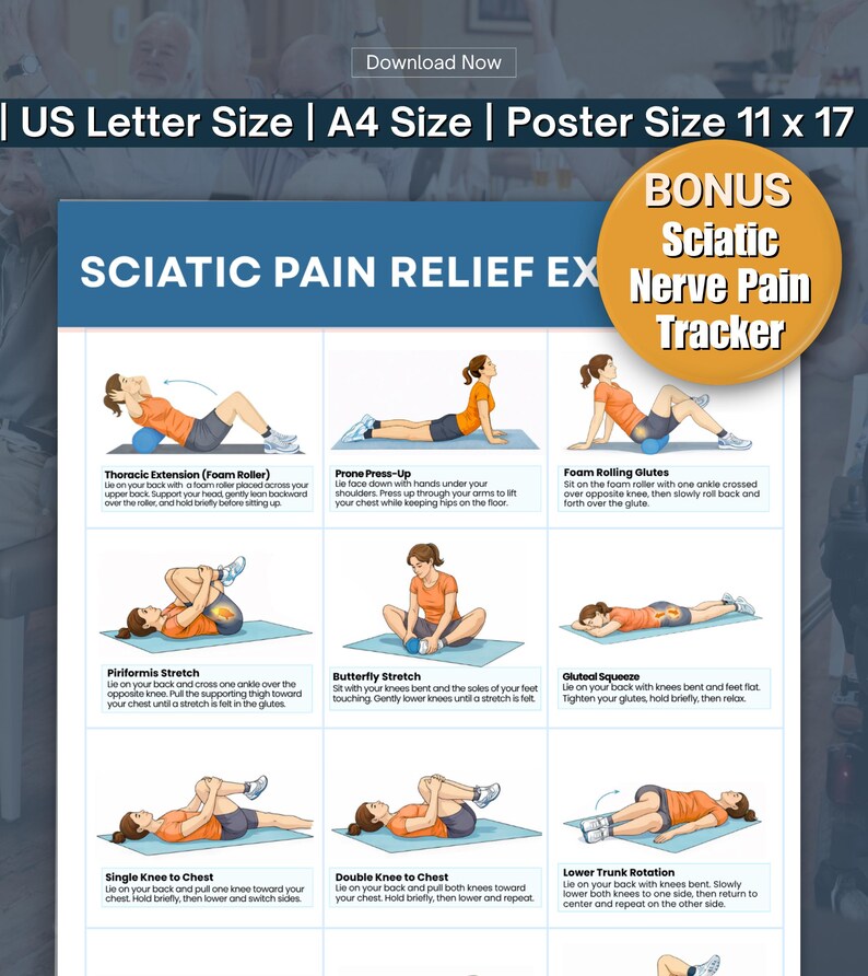 Sciatica Pain Relief Exercises Printable, Lower Back & Nerve Stretch ...
